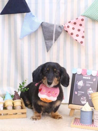 20250529モカちゃん